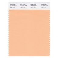 PANTONE Color of the Year 2024 / Previous Year